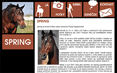 Screenshot spring.sirril.cz