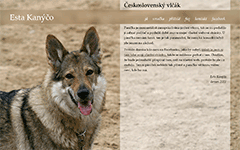Screenshot www.vlcak.cz